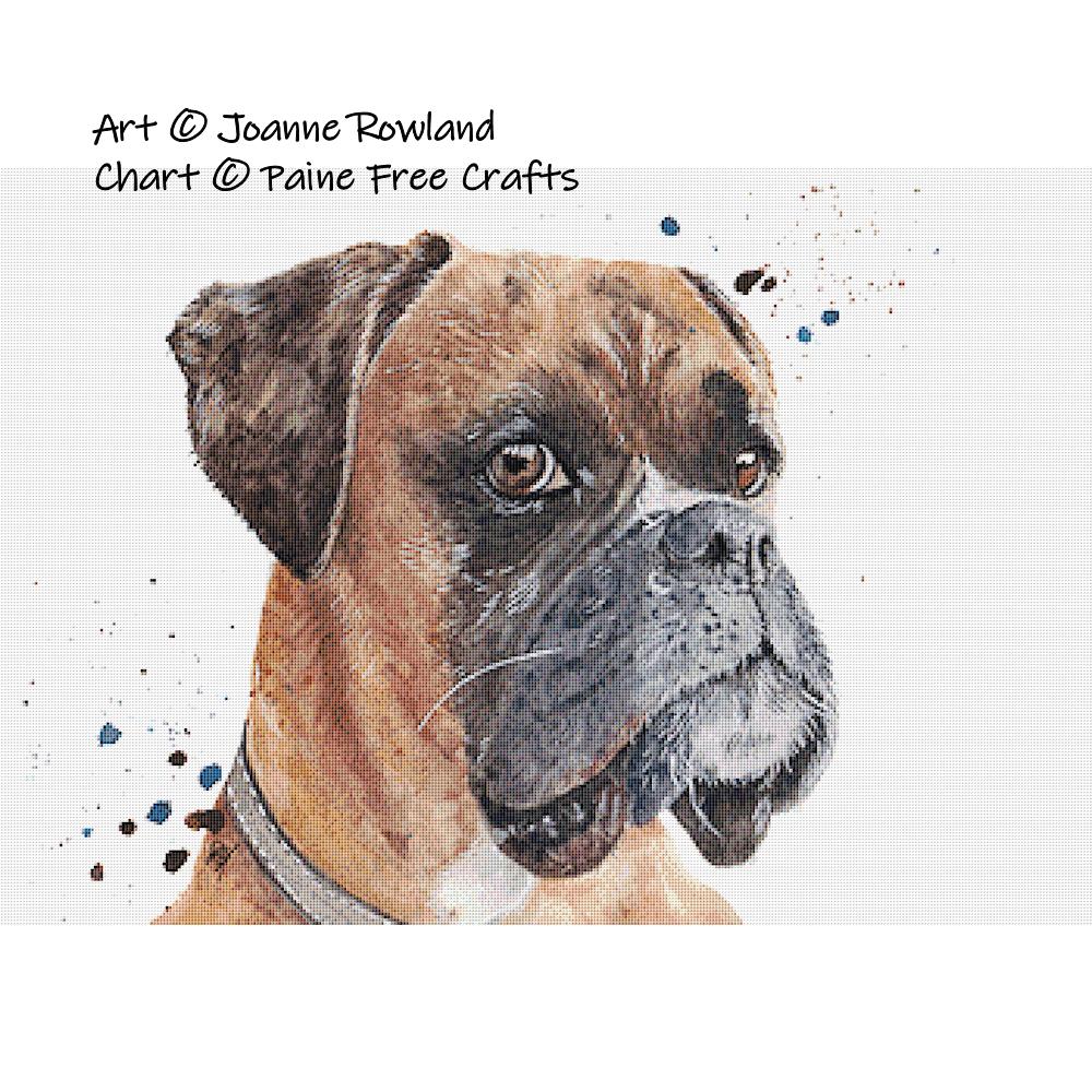 (image for) Boxer Dog